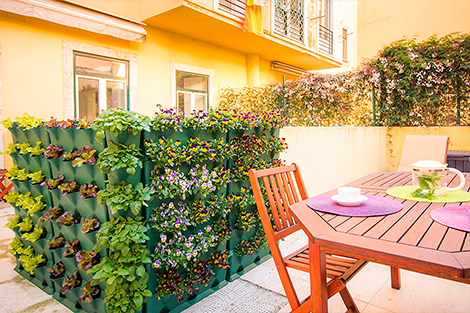 Crea tu propio huerto urbano en jardín o en terraza - Agromática