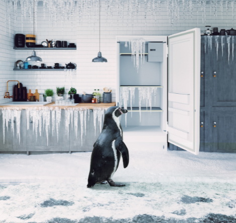 5 Pingüinos o Aire Acondicionado Portátil para el verano